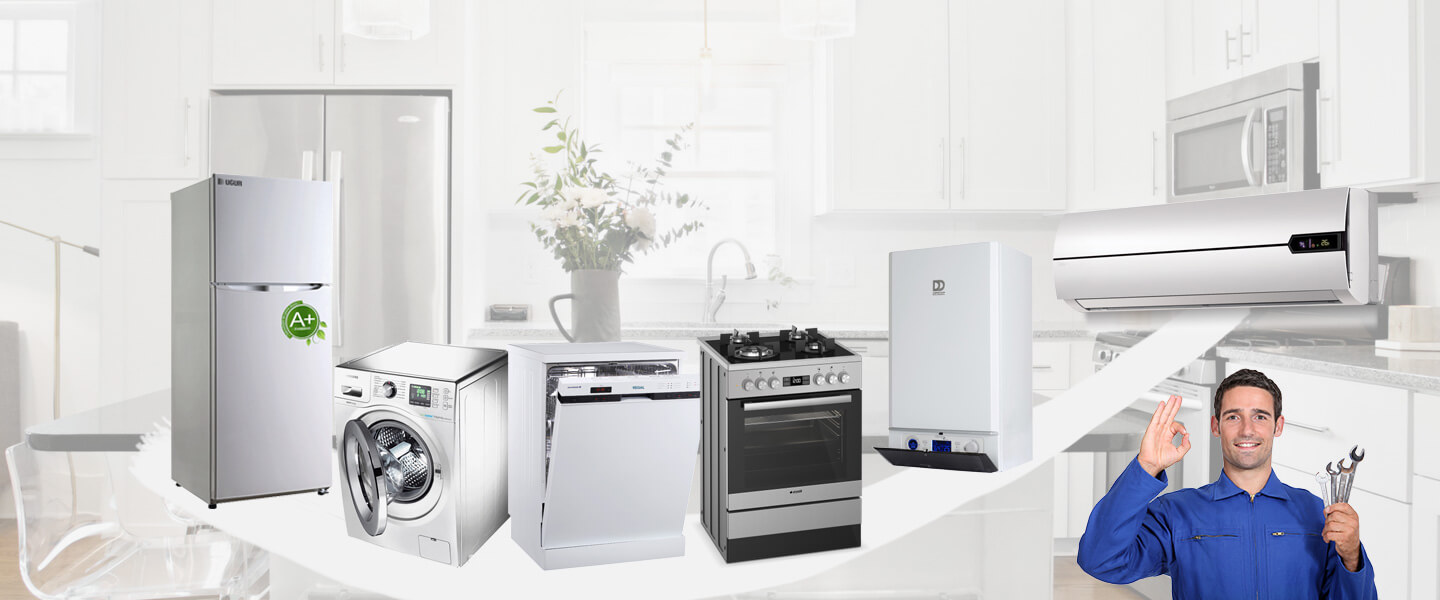 Çayırlı Philips Servisi